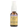 Honey Gardens Apiaries Propolis Spray - 1 Oz