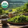 Detox Cleanse Tea Natural Herbal Tea Bags Organic Oolong Leaf Herbal Detox Caffeine-Free 30 Count per Pack